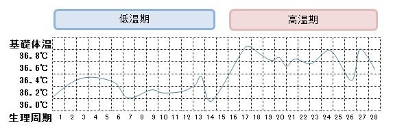 排卵日検査薬と基礎体温の関係性 こうのとり排卵検査薬通販