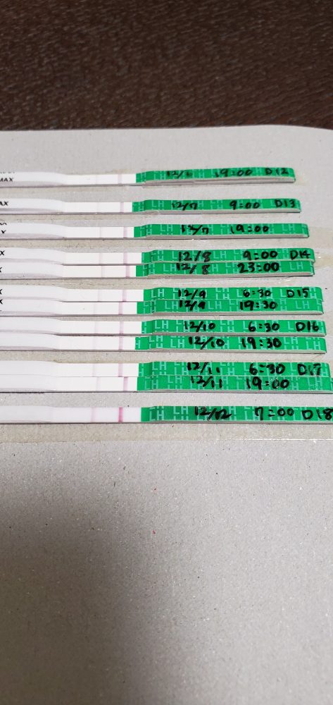 初めてで不安です Tot 海外製品の排卵検査薬wondfoを使いました 丨妊活サポート掲示板 こうのとり検査薬 Net