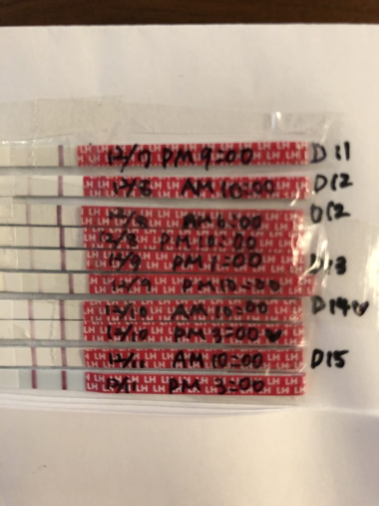 タイミングについて 第二子を妊娠希望しており 女の子を希望だったら 丨妊活サポート掲示板 こうのとり検査薬 Net