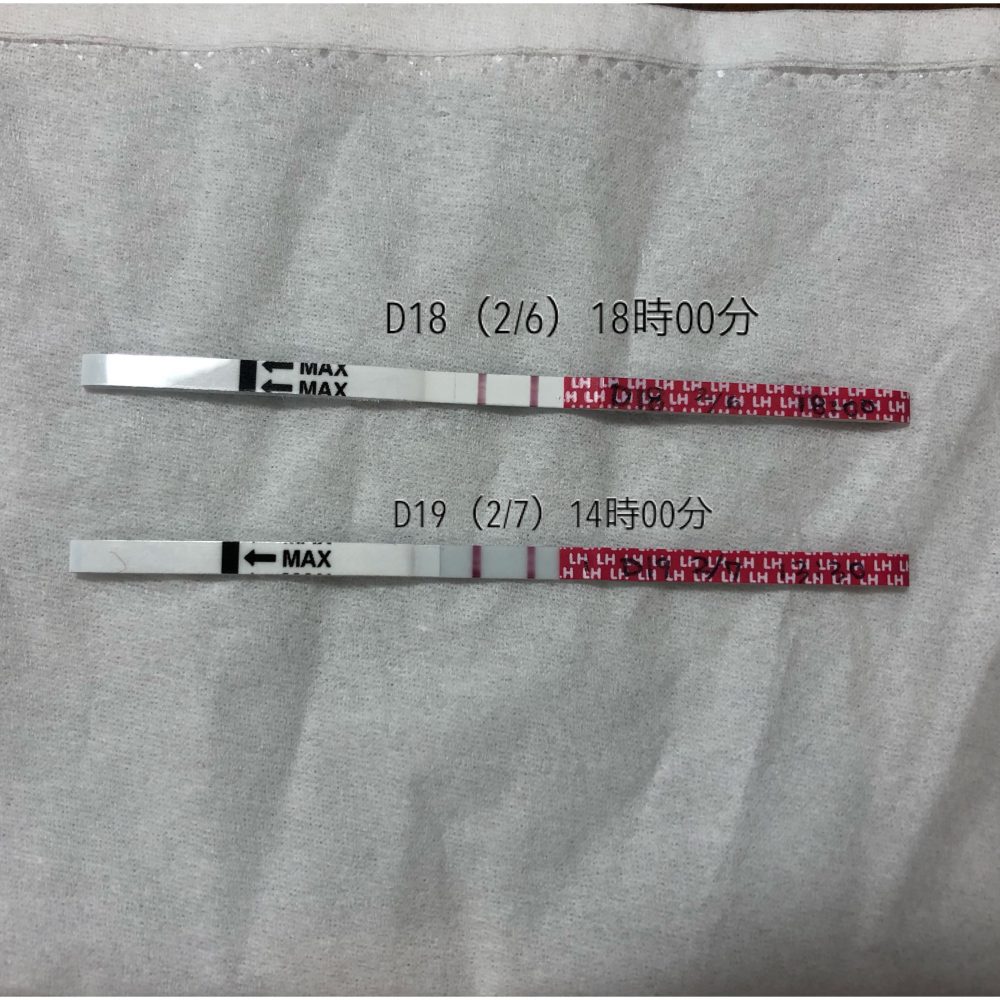 排卵検査薬の反応について丨妊活サポート掲示板 こうのとり検査薬 Net