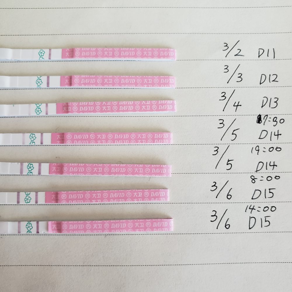 女の子希望です David排卵検査薬 丨妊活サポート掲示板 こうのとり検査薬 Net