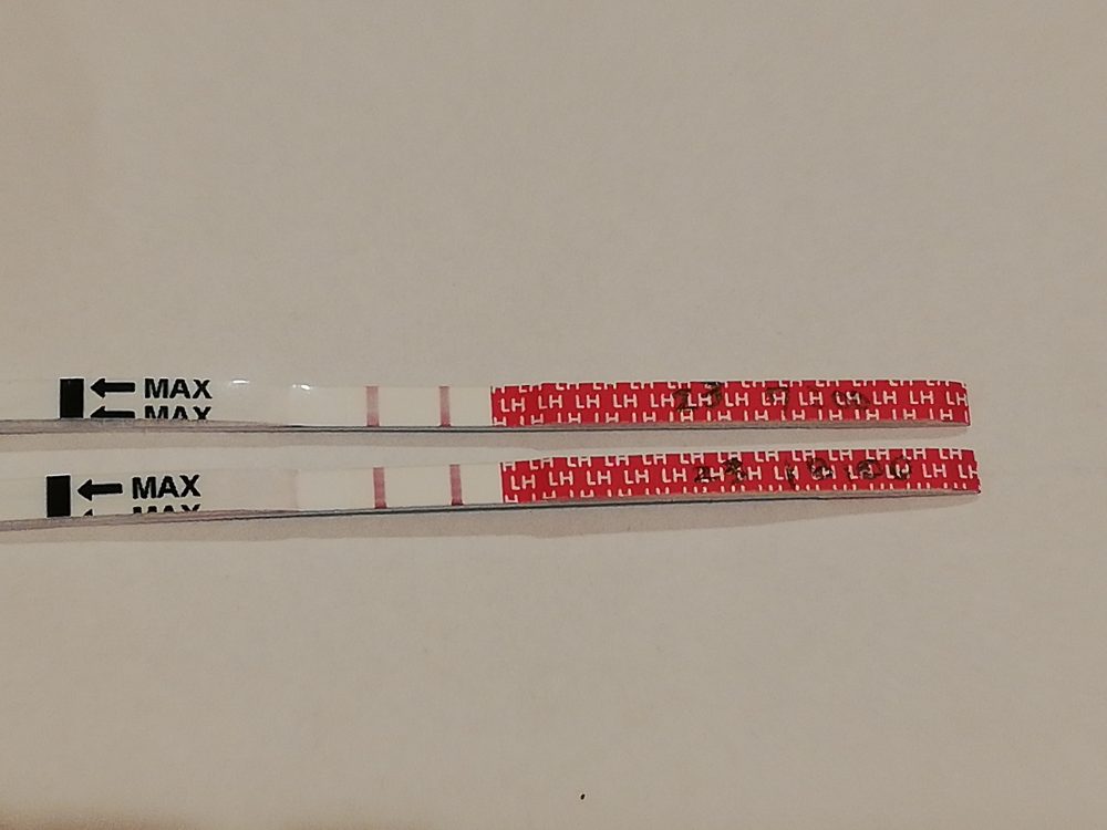 排卵検査薬の反応とタイミング丨妊活サポート掲示板 こうのとり検査薬 Net