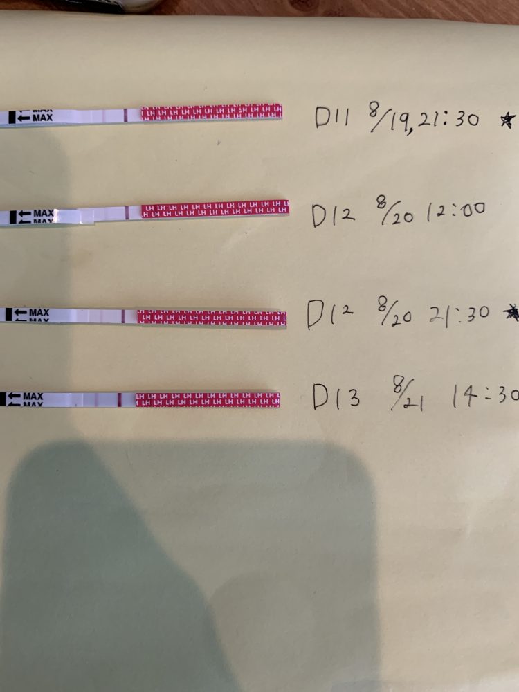 排卵検査紙について丨妊活サポート掲示板 こうのとり検査薬 Net