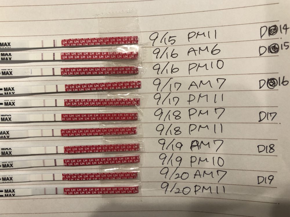 排卵検査薬丨妊活サポート掲示板 こうのとり検査薬 Net