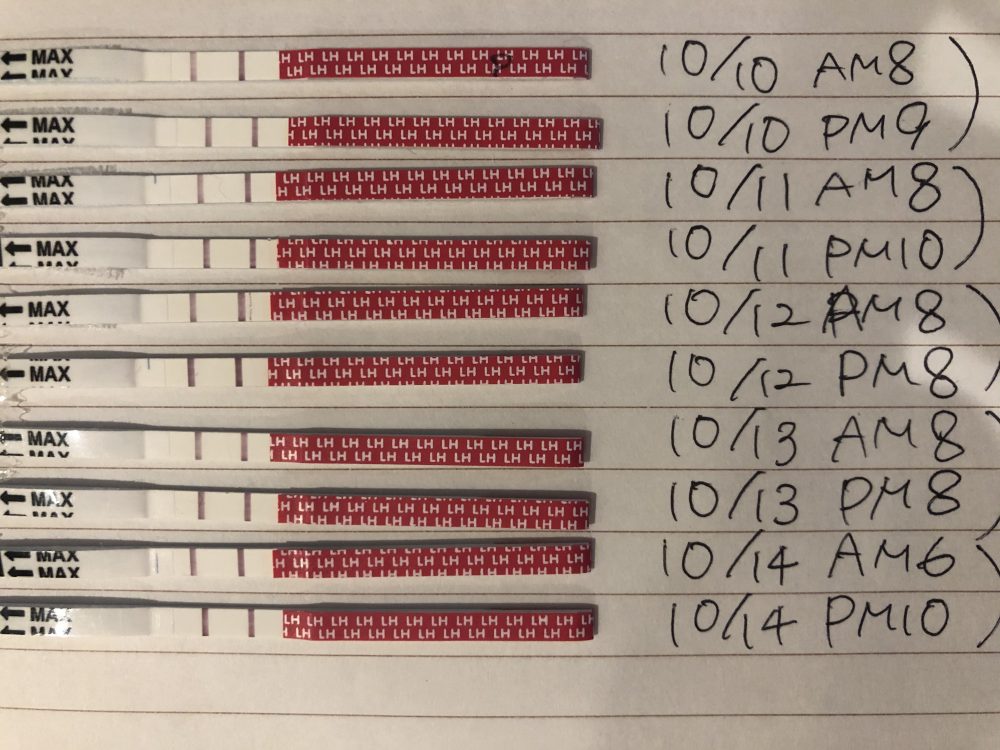 排卵検査薬丨妊活サポート掲示板 こうのとり検査薬 Net