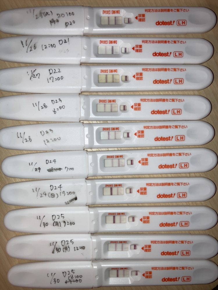 ドゥーテストLH II 排卵日予測検査薬  説明書
