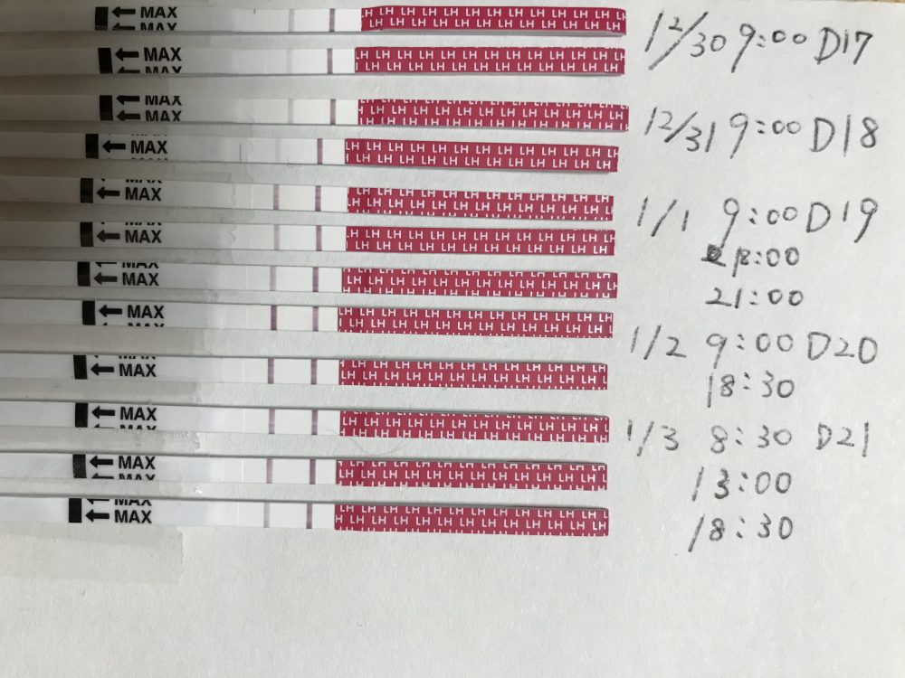 女の子産み分けのタイミング相談丨妊活サポート掲示板 こうのとり検査薬 Net