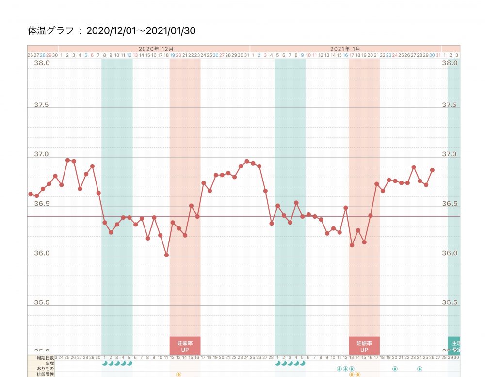 妊娠検査薬 高温期11日目 こうのとり検査薬 Net