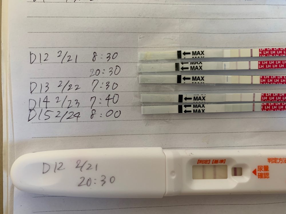 化学流産後の排卵について丨妊活サポート掲示板 こうのとり検査薬 Net