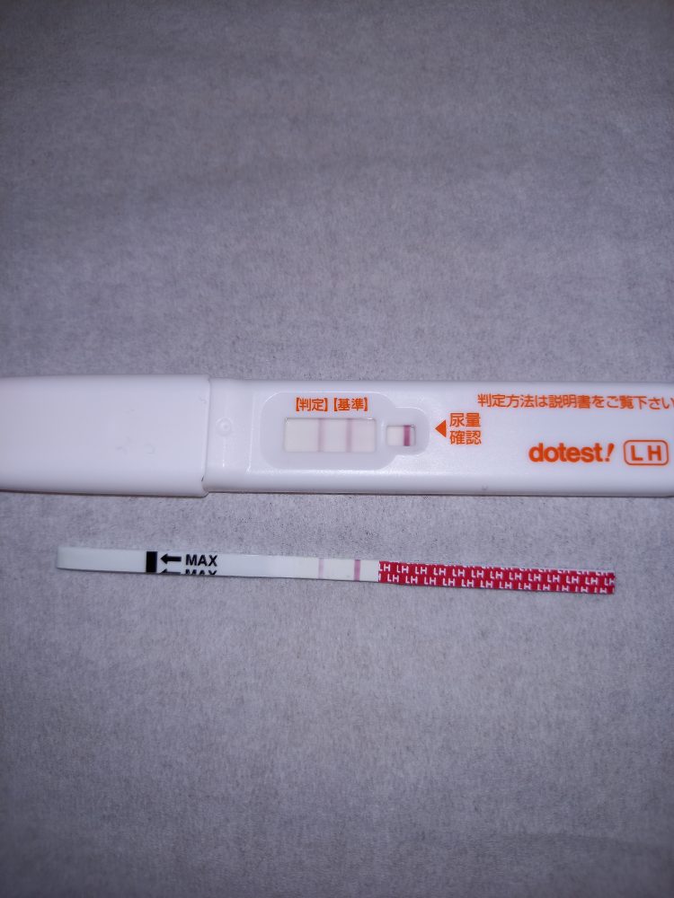 排卵検査薬の陽性反応とタイミングについて丨妊活サポート掲示板 こうのとり検査薬 Net