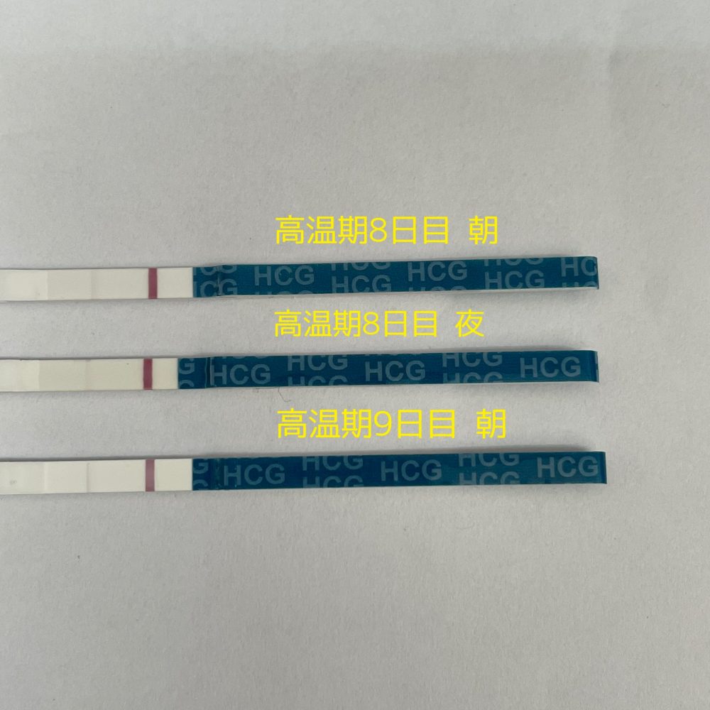 蒸発線 陽性反応 こうのとり検査薬 Net