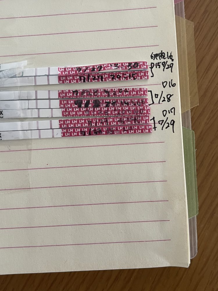 排卵検査薬の見方 女の子産み分け 丨妊活サポート掲示板 こうのとり検査薬 Net