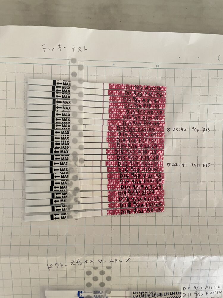 ラッキーテスト排卵日について 女の子希望 こうのとり検査薬 Net