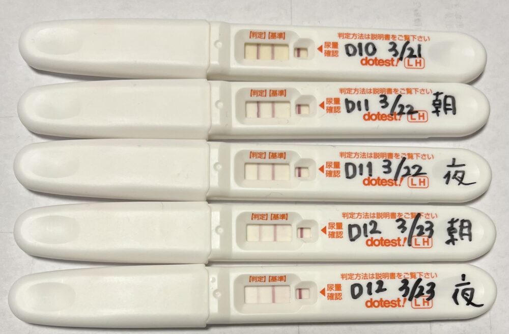 ラッキーテストと日本製の排卵日検査薬の結果、タイミングについて - こうのとり検査薬.NET
